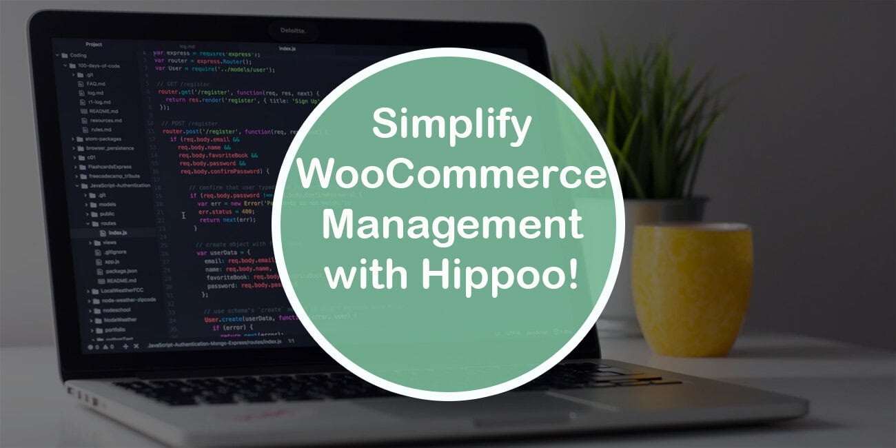 Simplify Your WooCommerce Management with Hippoo!