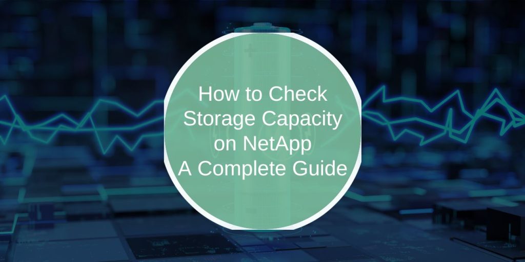 How to Check Storage Capacity on NetApp: A Complete Guide