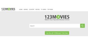 Understanding Issues with 123Movies