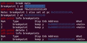 What Are Breakpoints in GDB?