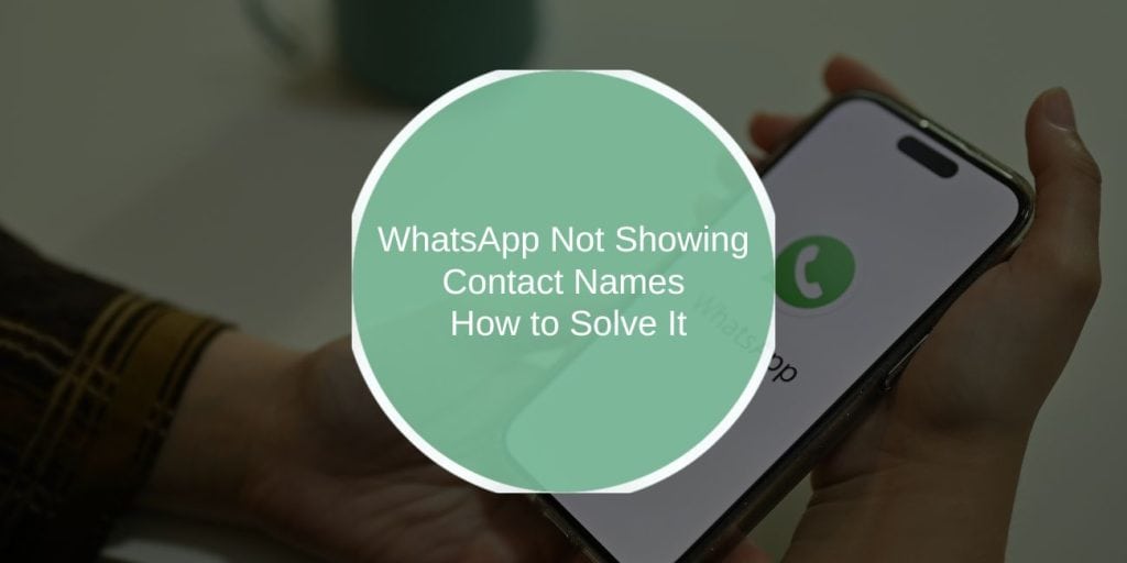 WhatsApp Not Showing Contact Names: How to Solve It